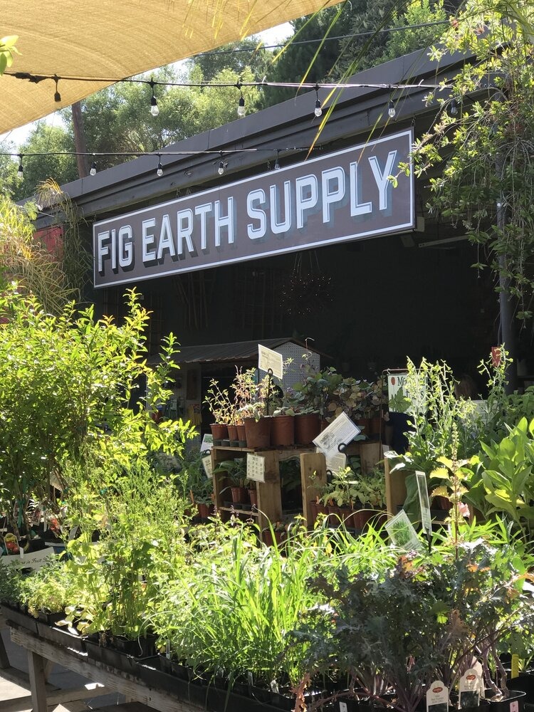 Fig Earth Supply