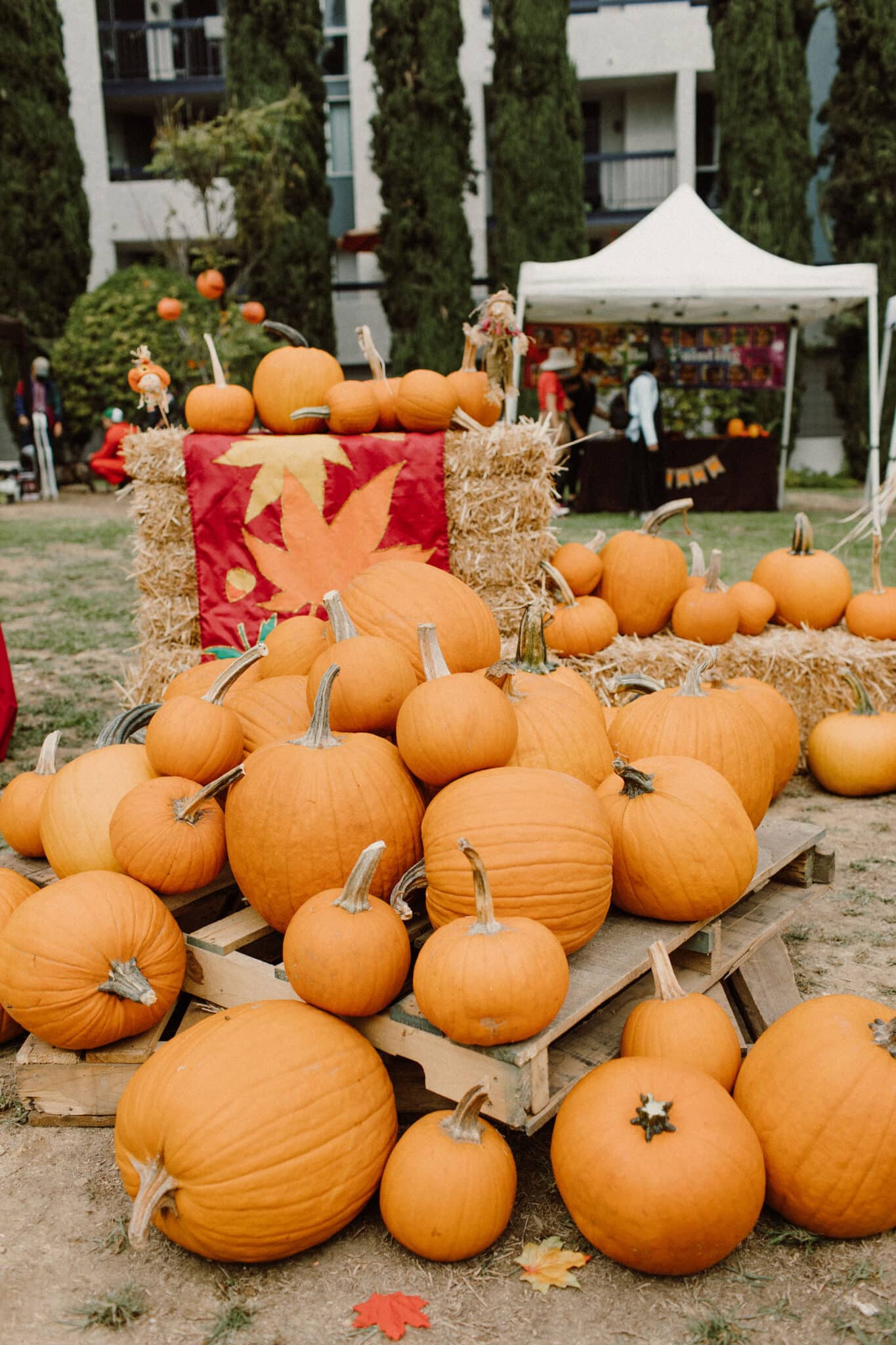monterey-hills-los-angeles-fall-festival-monterey-hills-la-event