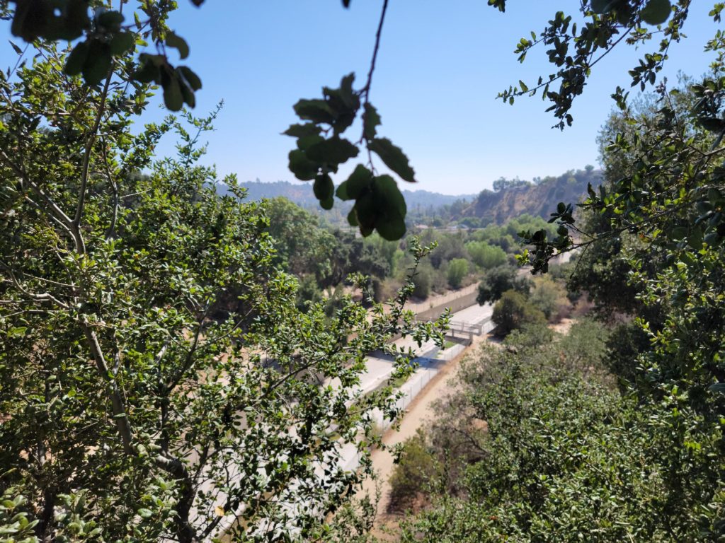 Pasadena's South Arroyo Neighborhood Looking Out Over The Arroyo Towards South Pasadena Through A California Scrub Oak. (Image Courtesy of David Clark)