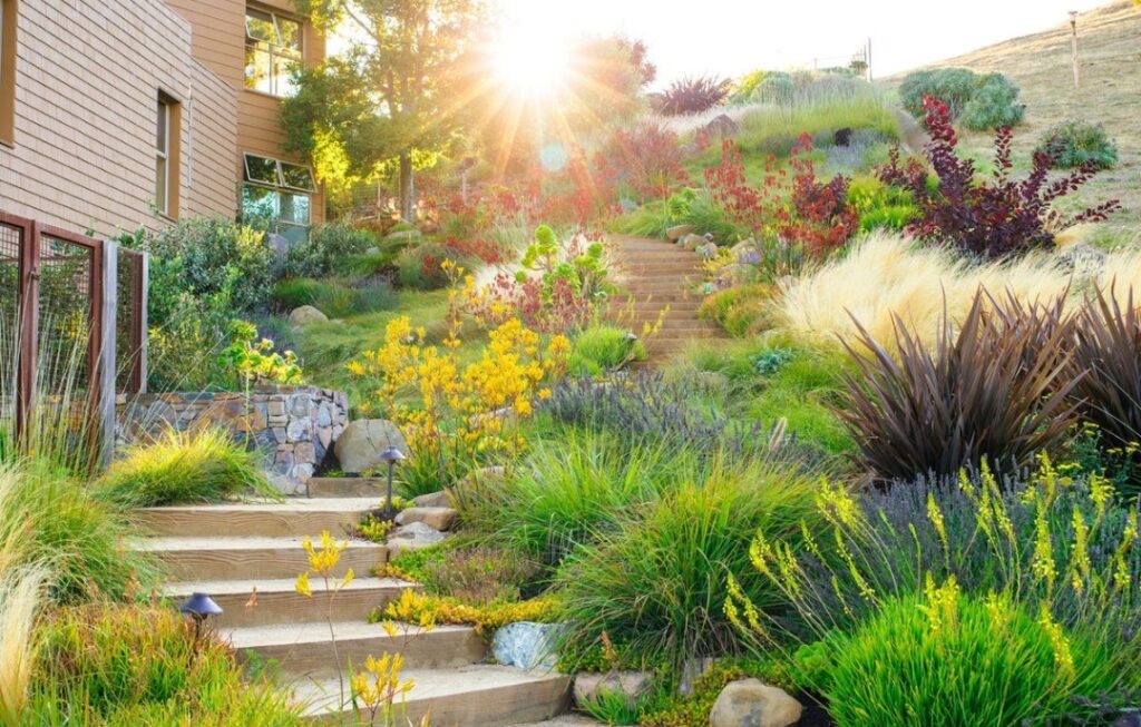 Defensible Space Fire Wise Landscaping Image Courtesy of Sunset Magazine California Firescaping Tips And Insurance Savings