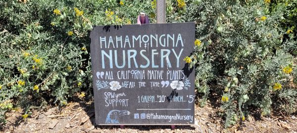 Hahamongna Native Plant Nursery in the South Arroyo