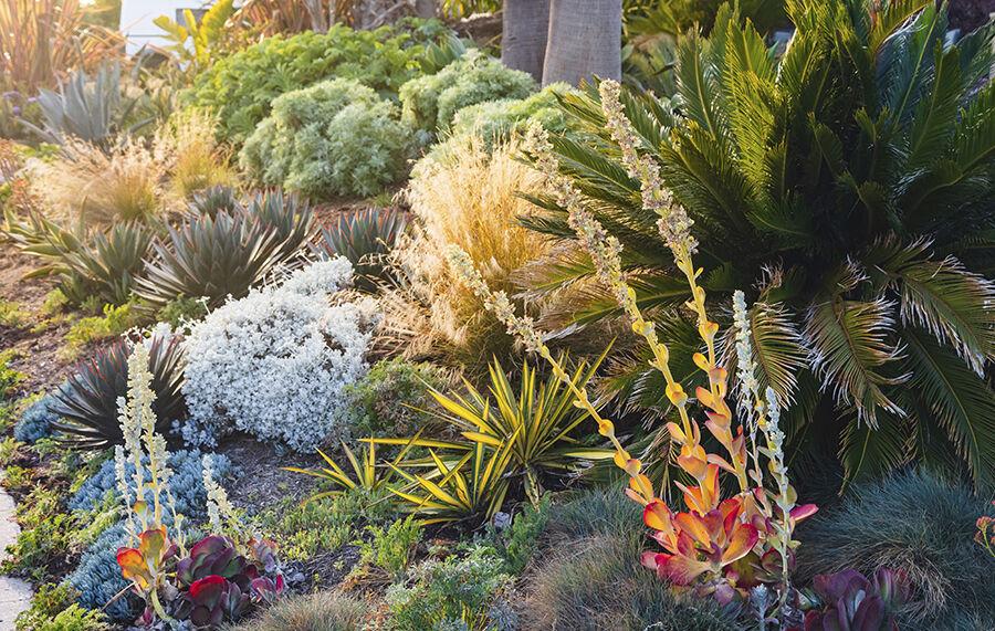 Beautiful Outside California home landscaping example with varied and drought-tolerant plants. California Firescaping Tips And Insurance Savings