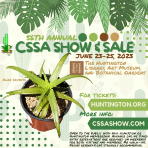 South Coast Cactus & Succulent Society