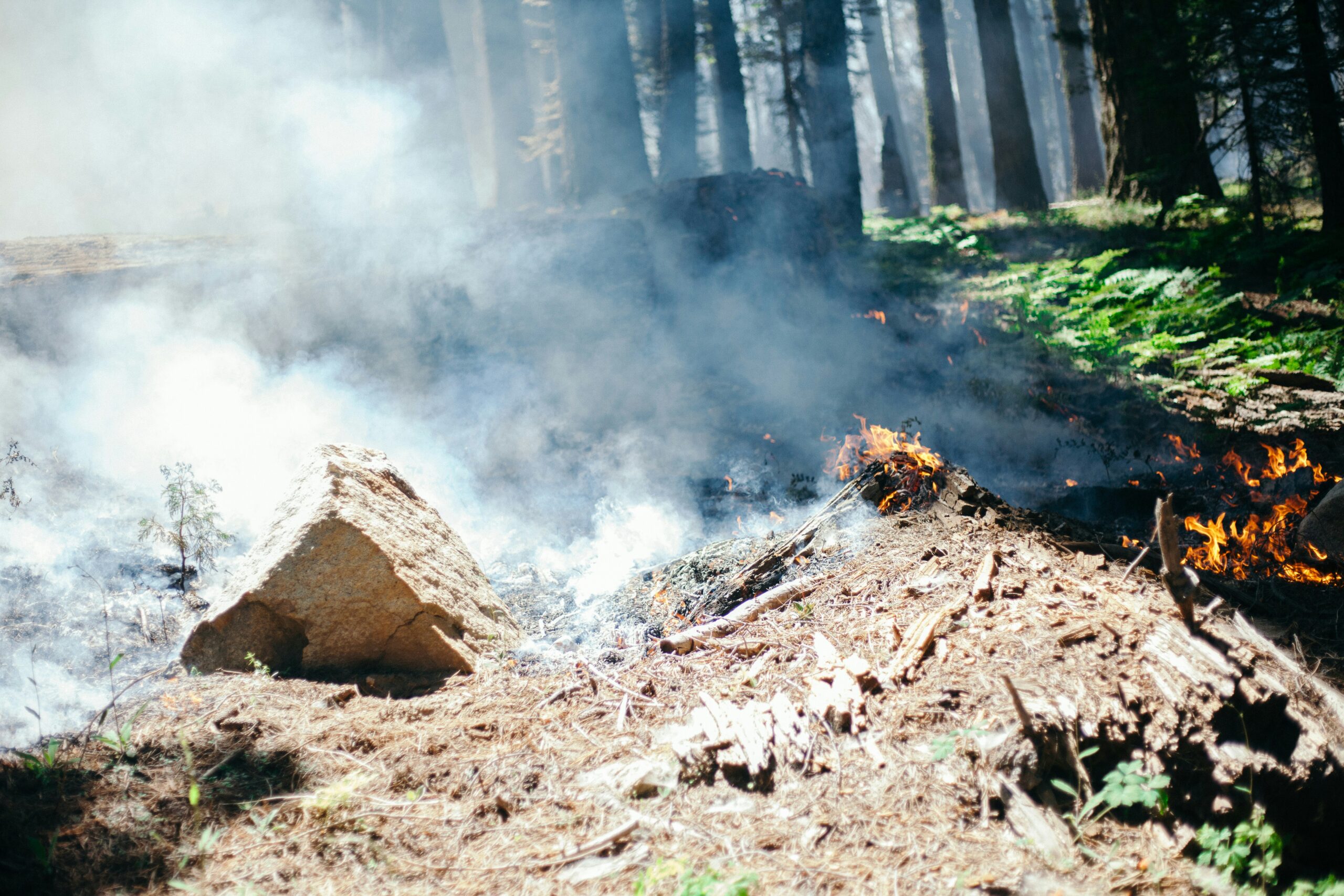 Californians Surging New Challenge To Insure Their Homes From Fire