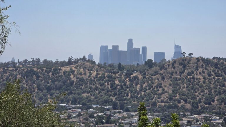 Downtown Los Angeles skyline seen from a Northeast LA hillside