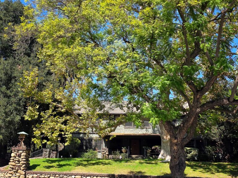 1628 Laurel Street, a grand Craftsman home built in 1906, the first on the block in the Oneonta Park Historic District, South Pasadena
